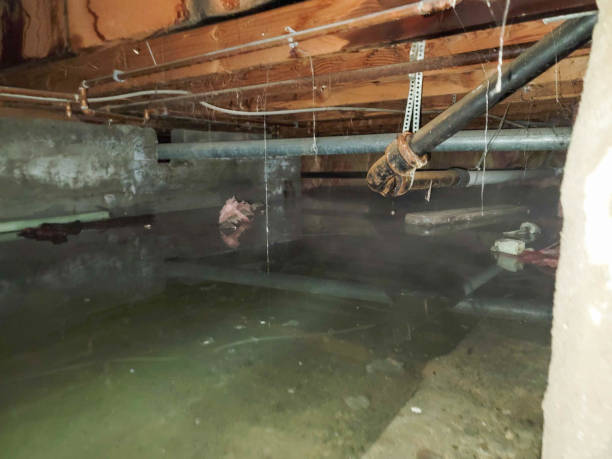 Best Emergency water damage restoration  in Clay City, IN