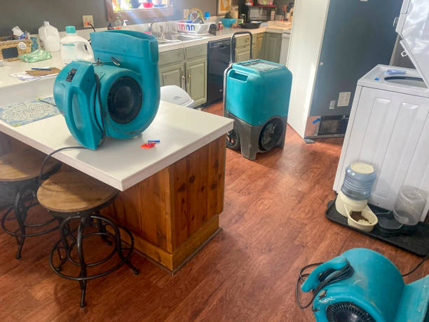 Best Basement water damage restoration  in Clay City, IN