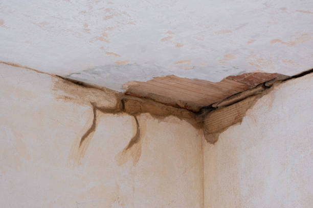 Best Water damage contractors near me  in Clay City, IN