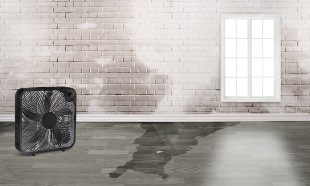 Best 24-hour water damage restoration  in Clay City, IN