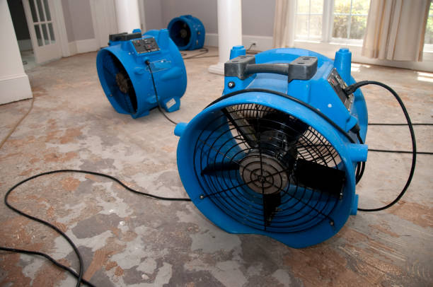 Best 24/7 water damage repair  in Clay City, IN